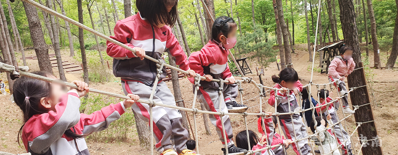 지난해 부춘산 유아숲체험원에서 진행된 산림체험 모습/서산시