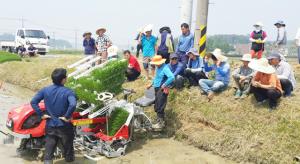 홍성군농기센터,포트묘 이앙기 시연 교육
