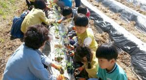 홍성군 학교 도시농업 활성화