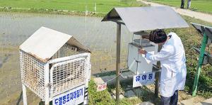 홍성군, 후기 병해충 방제로 풍년 농사 기원