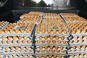 예산농장, 계란 2500판 기탁