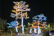 [금산] 충효예공원 소나무 트리 설치(사진기사)