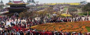 태안군-충남도, 2026 ‘안면도 국제꽃박람회’ 재추진 협력