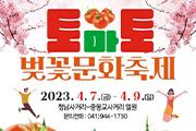 청양 청남면, '토마토·벚꽃' 축제